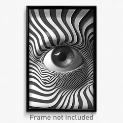 Art Poster - Colorless Vinyl Record (Psychedelic Trippy Weird 11x17 Print)