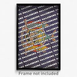 Hailesboro New York Poster (NY City Souvenir 11x17 Town Print)