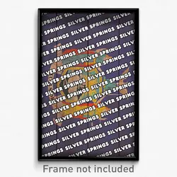 Silver Springs New York Poster (NY City Souvenir 11x17 Town Print)