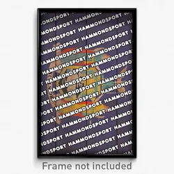 Hammondsport New York Poster (NY City Souvenir 11x17 Town Print)