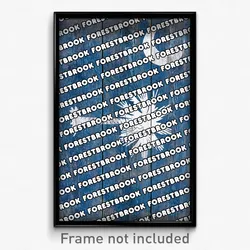 Forestbrook South Carolina Poster (SC City Souvenir 11x17 Town Print)