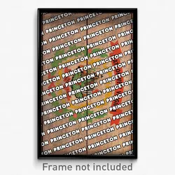Princeton West Virginia Poster (WV City Souvenir 11x17 Town Print)
