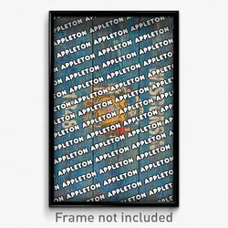Appleton Wisconsin Poster (WI City Souvenir 11x17 Town Print)