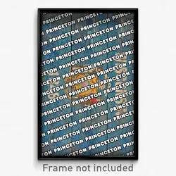 Princeton Wisconsin Poster (WI City Souvenir 11x17 Town Print)