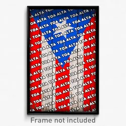 Toa Alta Puerto Rico Poster (PR City Souvenir 11x17 Town Print)