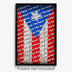Toa Baja Puerto Rico Poster (PR City Souvenir 11x17 Town Print)