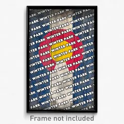 Winter Park Colorado Poster (CO City Souvenir 11x17 Town Print)