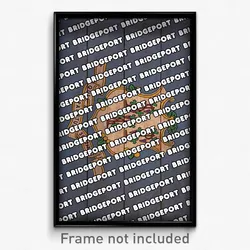 Bridgeport Connecticut Poster (CT City Souvenir 11x17 Town Print)