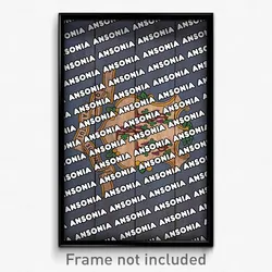 Ansonia Connecticut Poster (CT City Souvenir 11x17 Town Print)