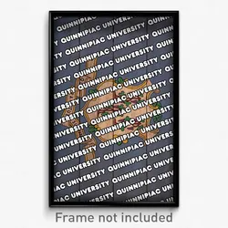 Quinnipiac University Connecticut Poster (CT City Souvenir 11x17 Town Print)