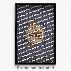 Princeton Kentucky Poster (KY City Souvenir 11x17 Town Print)