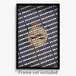 Briarwood Kentucky Poster (KY City Souvenir 11x17 Town Print)