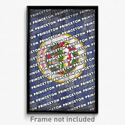Princeton Minnesota Poster (MN City Souvenir 11x17 Town Print)