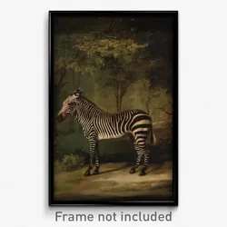 George Stubbs - Zebra