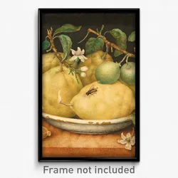 Giovanna Garzoni (Italian) - Still Life with Bowl of Citrons