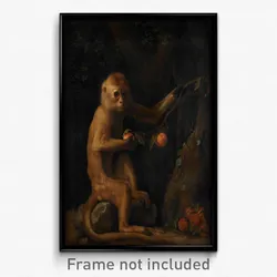 George Stubbs - A Monkey