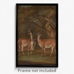 Thomas Weaver - Llamas and a fox in a wooded landscape