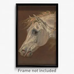 Martin Theodore Ward - Head of a Grey Arabian Horse
