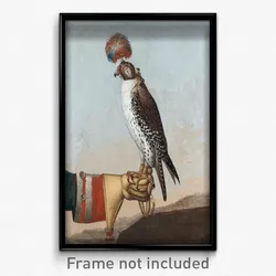 Islandic gerfalcon
