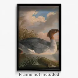 Robert Wilkinson Padley - A Dun Diver (Goosander)