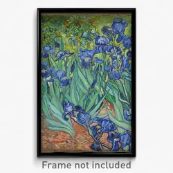Irises-Vincent van Gogh.jpg