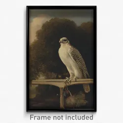George Stubbs - Greenland Falcon