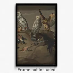 Study of Birds