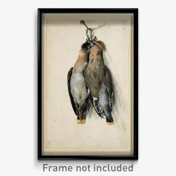 Lucas Cranach the Elder - Two Dead Bohemian Waxwings