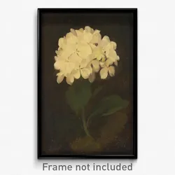 Stuart Park - White Hydrangea