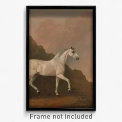 John Boultbee - A Grey Arab Stallion in a Desert Landscape