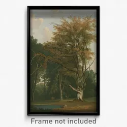 Joseph Farington - Trees in a Woodland Glade