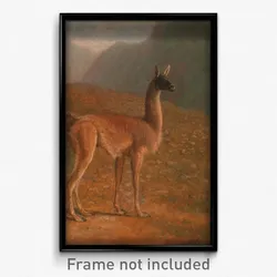Jacques-Laurent Agasse - Guanaco