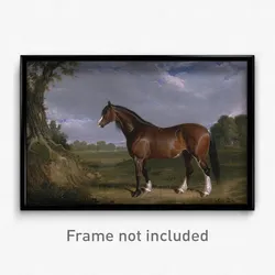 John Frederick Herring - A Clydesdale Stallion