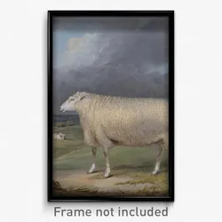 James Ward - A Border Leicester Ewe