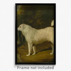 David Dalby of York - Portrait of a Dog, Ross