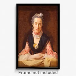 Allan Ramsay - Lady in a Pink Silk Dress