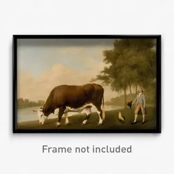 George Stubbs - The Lincolnshire Ox