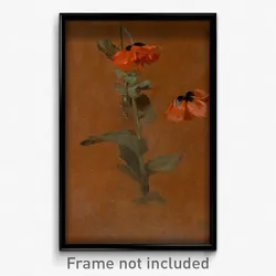 James Inskipp - Study of Poppies