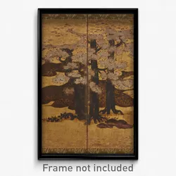 Blossoming cherry trees
