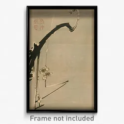 Ito Jakuchu - Plum Blossoms from Seiran'en Painting Album
