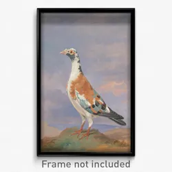 Dean Wolstenholme - Studies of carrier pigeon