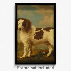 George Stubbs - Brown and White Norfolk or Water Spaniel