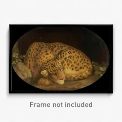 George Stubbs - Sleeping Leopard