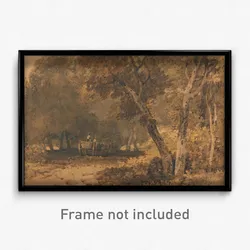 A Forest Road