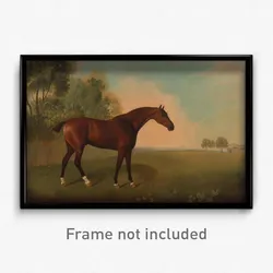 John Boultbee - A Bay Horse in a Field