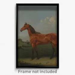 Edmund Bristow - A Bay Horse in a Field