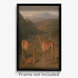 Jacques-Laurent Agasse - Vicunas