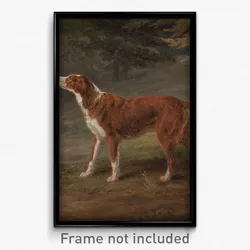 George Garrard - Ranger, a setter, the property of Elizabeth Gray