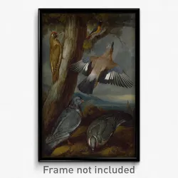 Francis Barlow - Jay, Green Woodpecker, Pigeons, and Redstart
