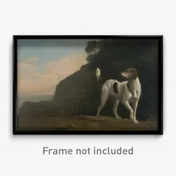 George Stubbs - Foxhound